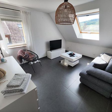 Bel Appartement En Centre Alsace Kintzheim Buitenkant foto