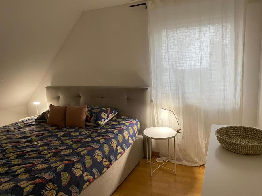 Bel Appartement En Centre Alsace Kintzheim Buitenkant foto
