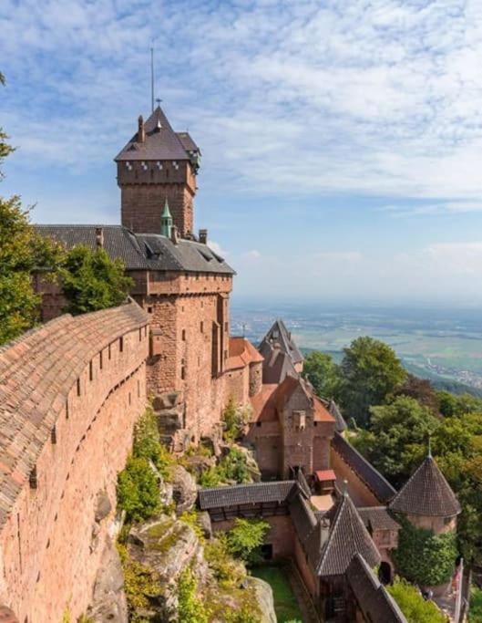Bel Appartement En Centre Alsace Kintzheim Buitenkant foto