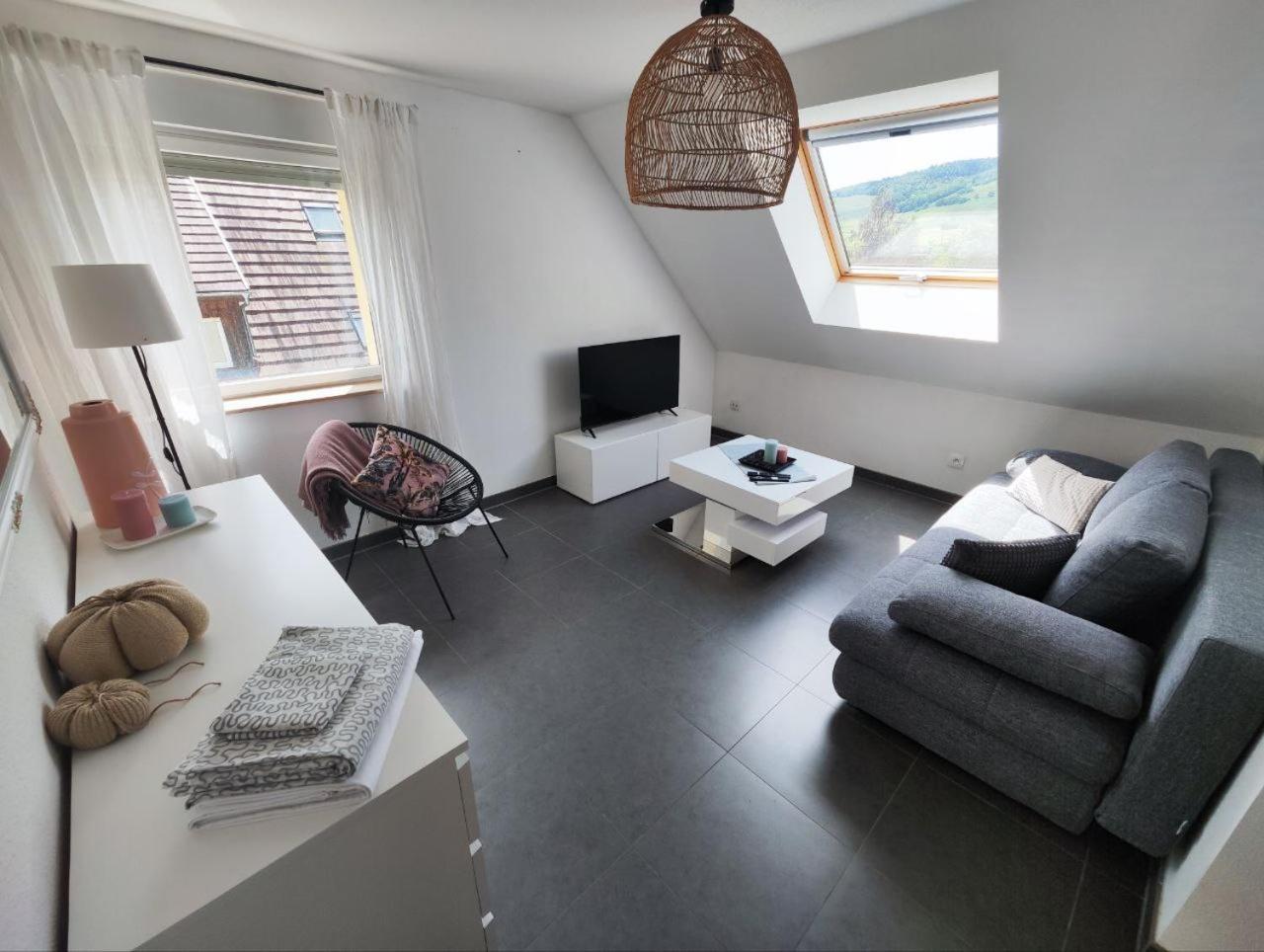 Bel Appartement En Centre Alsace Kintzheim Buitenkant foto